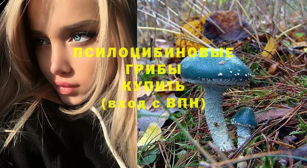 молекула духа Балабаново
